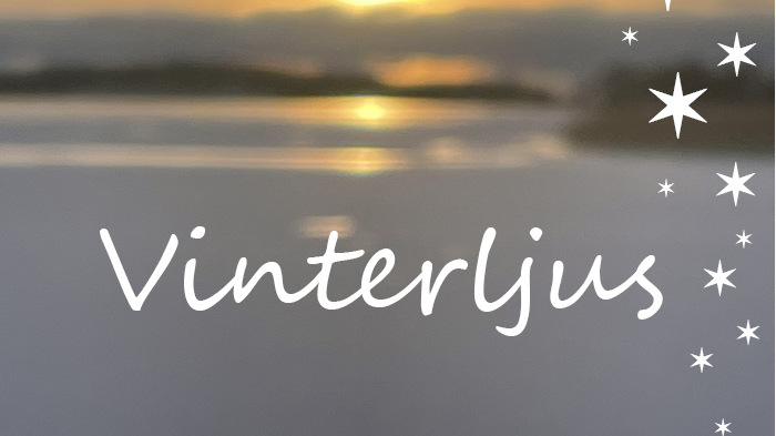 Julkonsert - Ålands Projektkör
